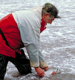sea angling conservation.jpg